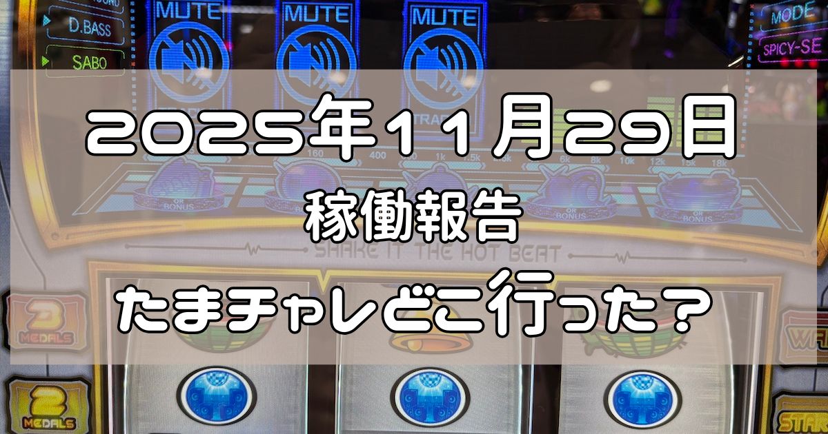 稼働報告 2025年11月29日